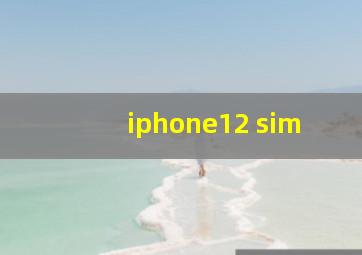 iphone12 sim